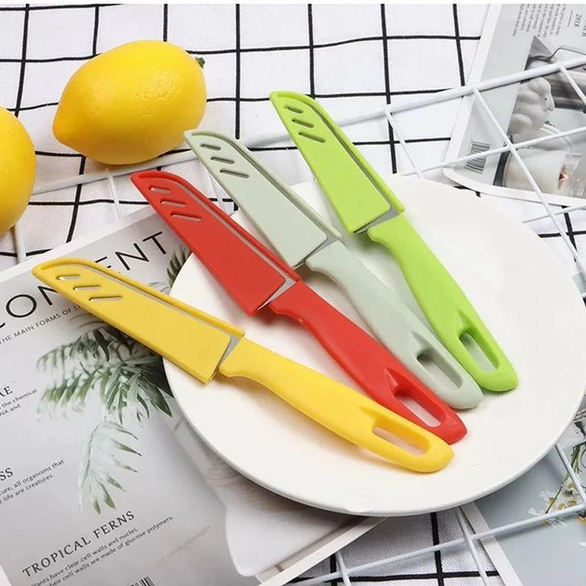 Stainless steel kitchen fruit vegetables knife price in Pakistan