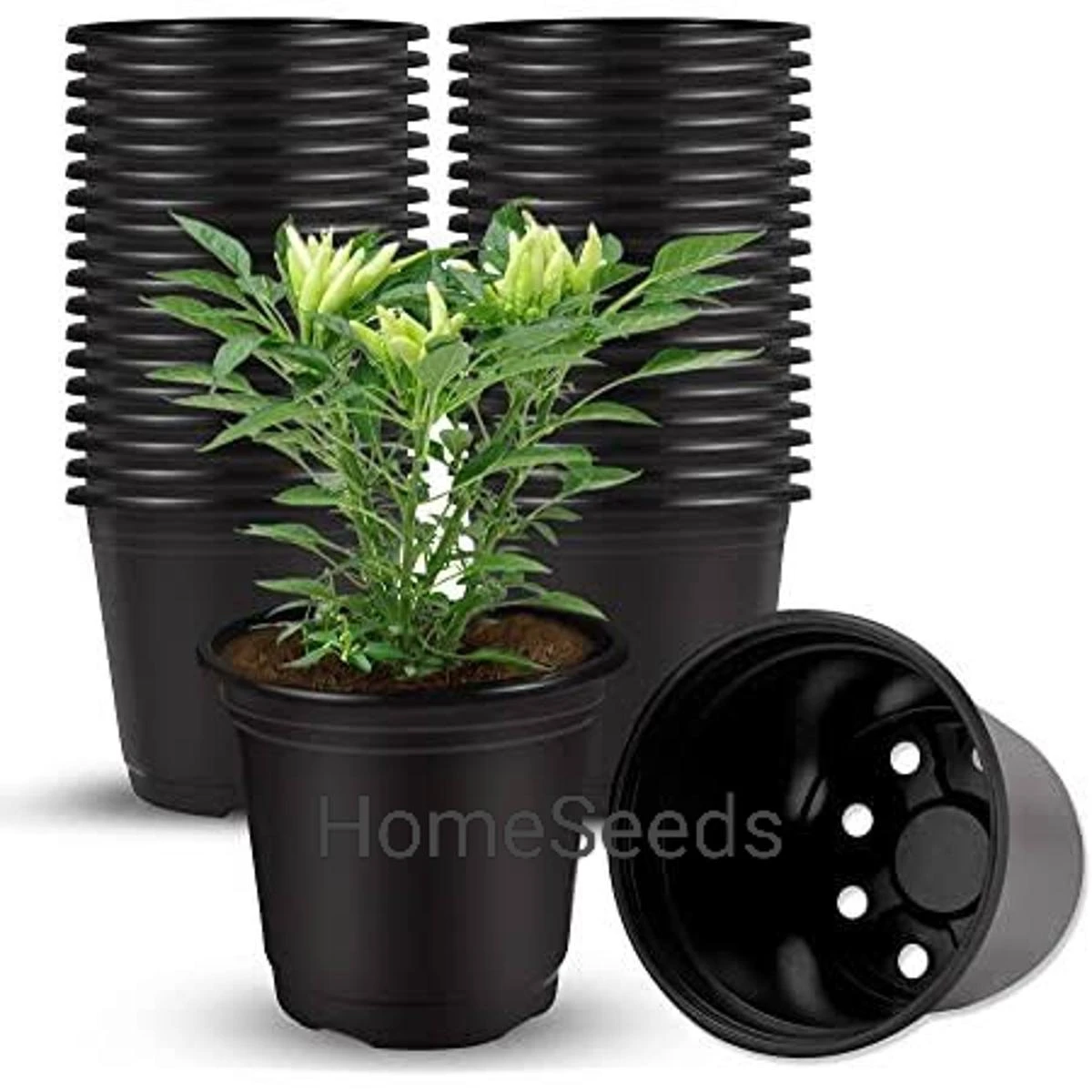Pack of 20 plastic flower pots – Pots for seedling or flowers price in Pakistan