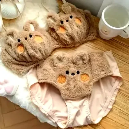 Cute Furry Teddy Bear Bra Panty Set | Soft Plush Cozy Fabric | Cute Ear Design | Premium Ladies Lingerie price in Pakistan