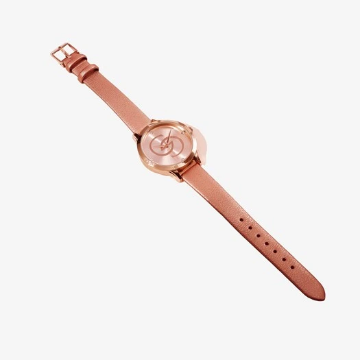 Giordani Gold Anniversary Watch price in Pakistan