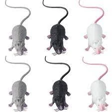 Rat toy for kids, mouse toy, plastic rat price in Pakistan
