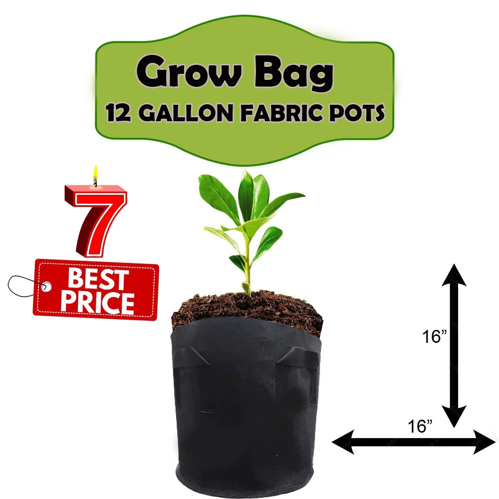 Pack Of 7 Grow Bag I 12 Gallon Fabric grow bag 16X16 I Plant Bag I for Kitchen Gardening (OtZ9) price in Pakistan