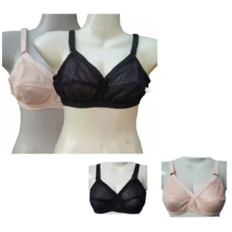 Ladies and Girls Transparent Skin net bra blouse brazier price in Pakistan