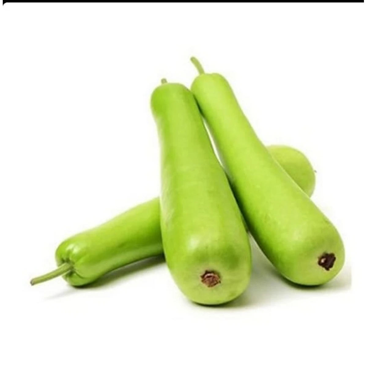 Bottle Gourd (Lauki) 1kg price in Pakistan