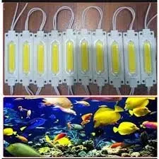 COB Light for Planted Aquarium (10 lights) price in Pakistan