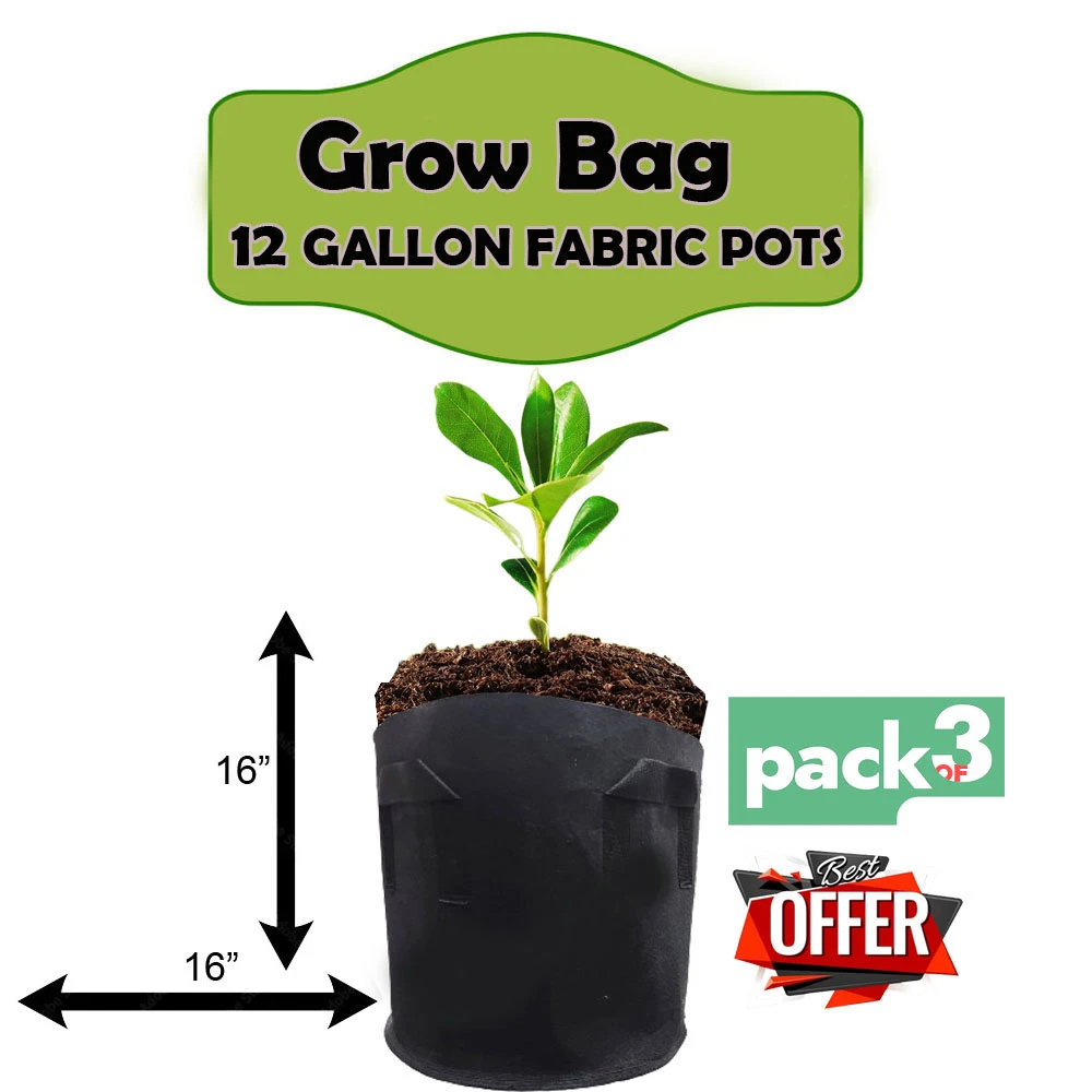 Pack Of 3 Grow Bag I 12 Gallon Fabric grow bag 16X16 I Plant Bag I for Kitchen Gardening (OtZ9) price in Pakistan