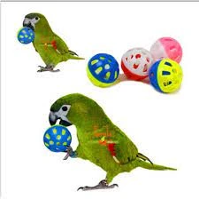 Pet cat Parrot Toy Bird Hollow Bell Ball For Cockatiel Chew Fun Cage Toys price in Pakistan