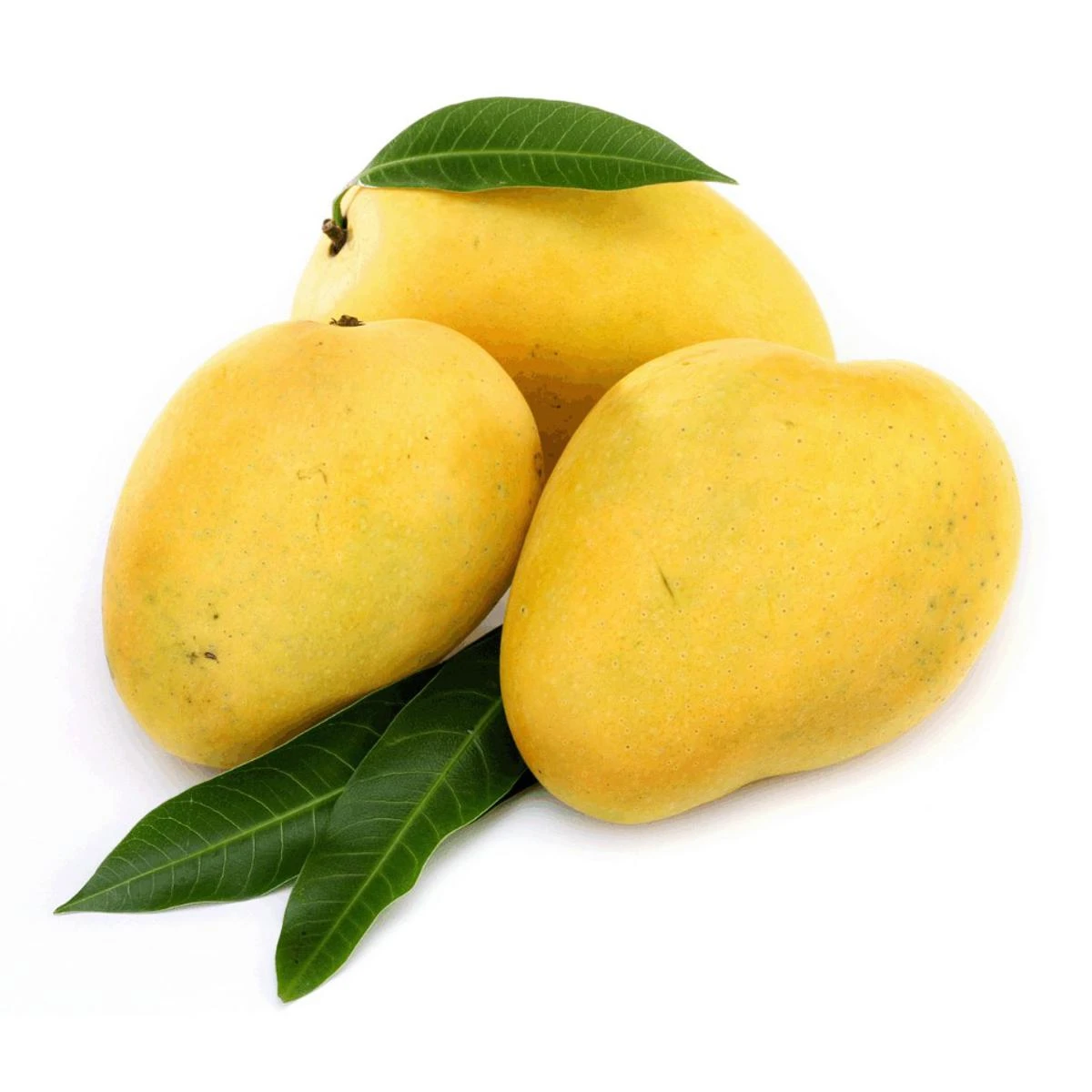 Mango Chaunsa (Chaunsa Aam) 2 kg Box price in Pakistan