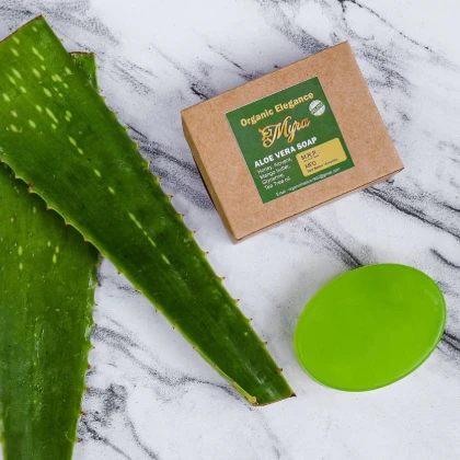Aloe Vera Soap (100g) price in Pakistan