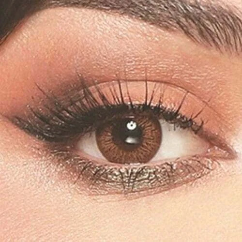 CINNAMOM BROWN BELLA ORIGINAL LENSES price in Pakistan