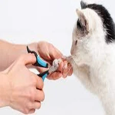 NAIL CUTTER – DOG CAT GROOMING NAIL CUTTING TOOL price in Pakistan