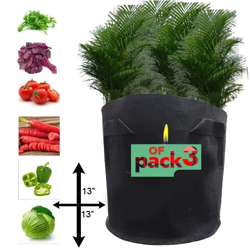 Pack Of 3 Grow Bag 7 Gallon 13X13 l Plant Bag for Kitchen Gardening (0SF5) price in Pakistan