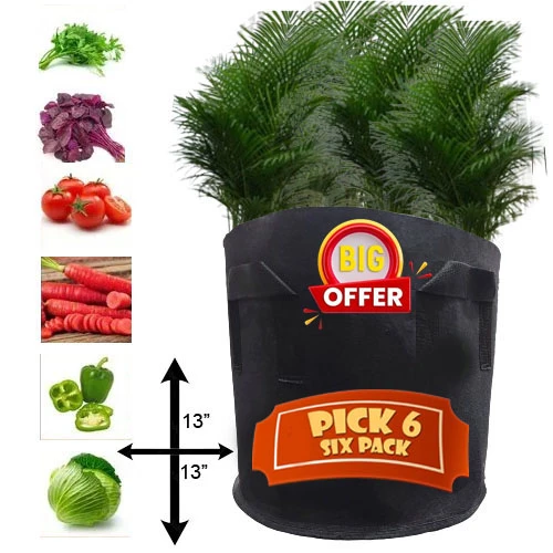 Pack Of 6 Grow Bag 7 Gallon 13X13 l plant Bag for Kitchen Gardening (0SF5) price in Pakistan