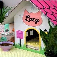 cat house -wooden cat house- model price in Pakistan