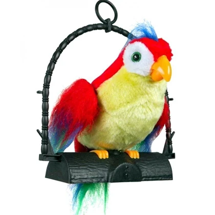 Talk Back Parrot – Multi Color price in Pakistan