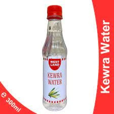 Kewra Water West Land 300ml price in Pakistan