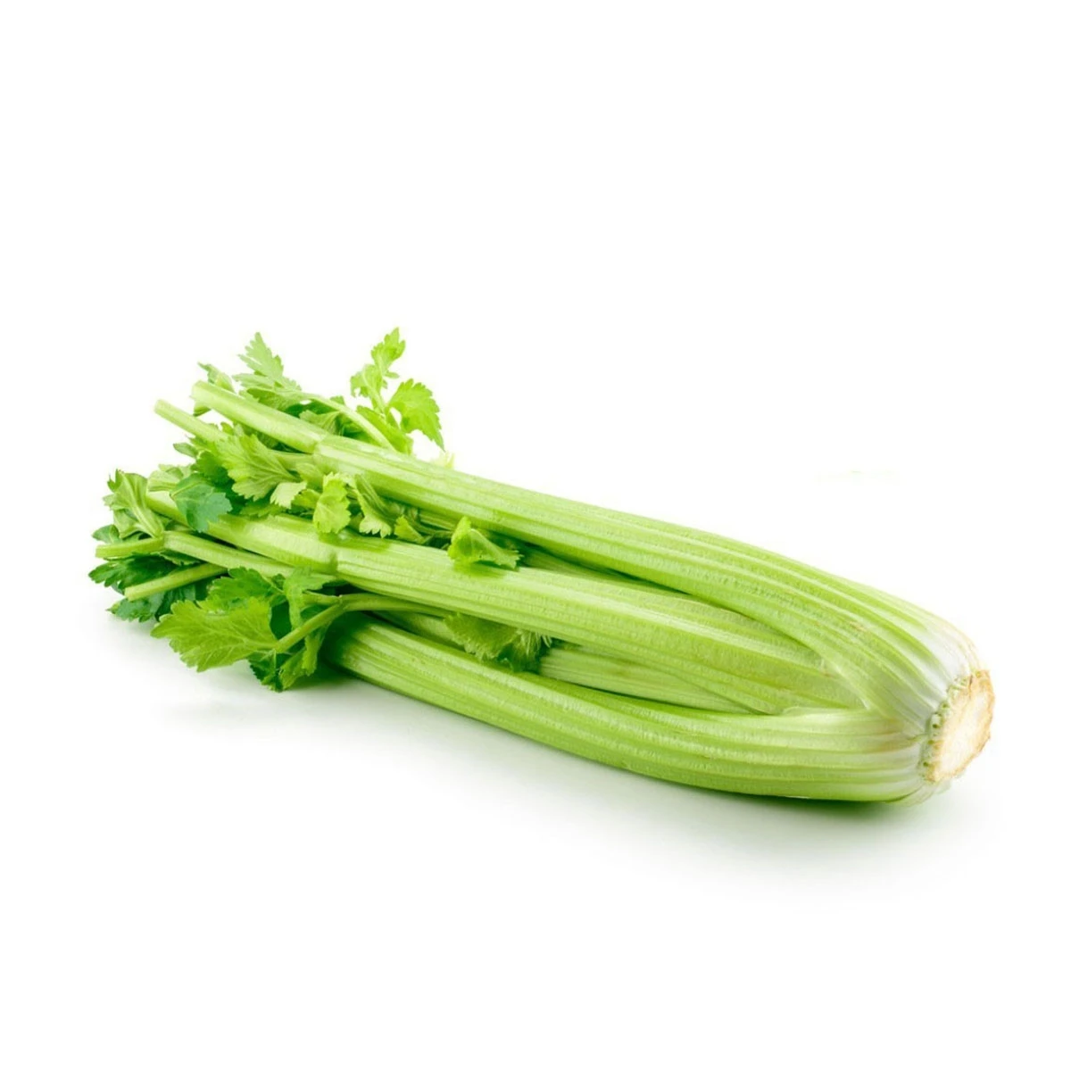 Celery (Ajwain) 250g price in Pakistan