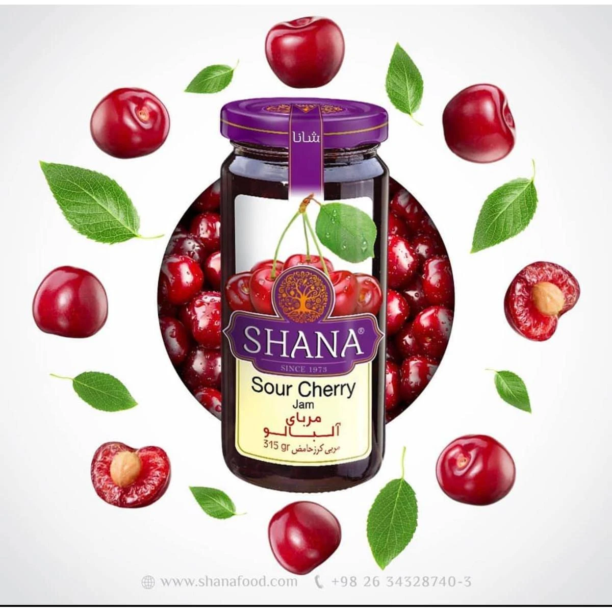 Cherry Jam Jar 200g – Shana Irani Jam price in Pakistan