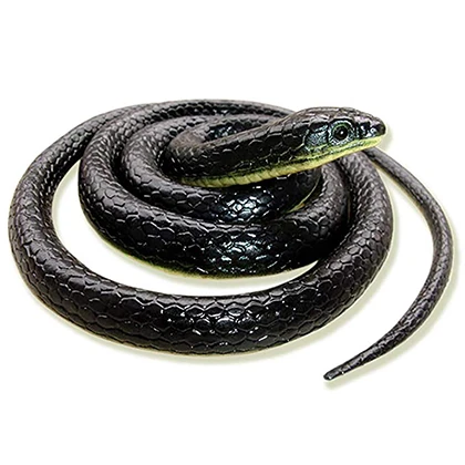 14 inch Rubber Snake Toys for Kids price in Pakistan