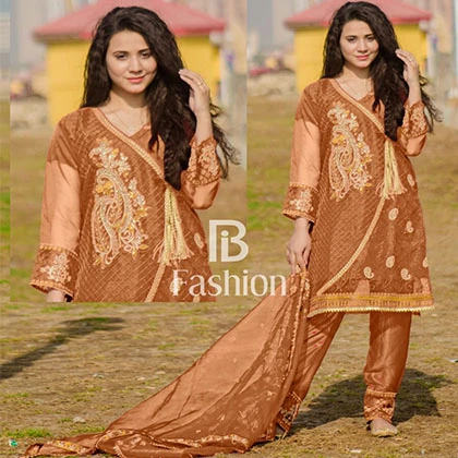 Fabric Organza 3 Pcs price in Pakistan