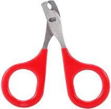 Puppy and Cats Nail cutter – Red price in Pakistan