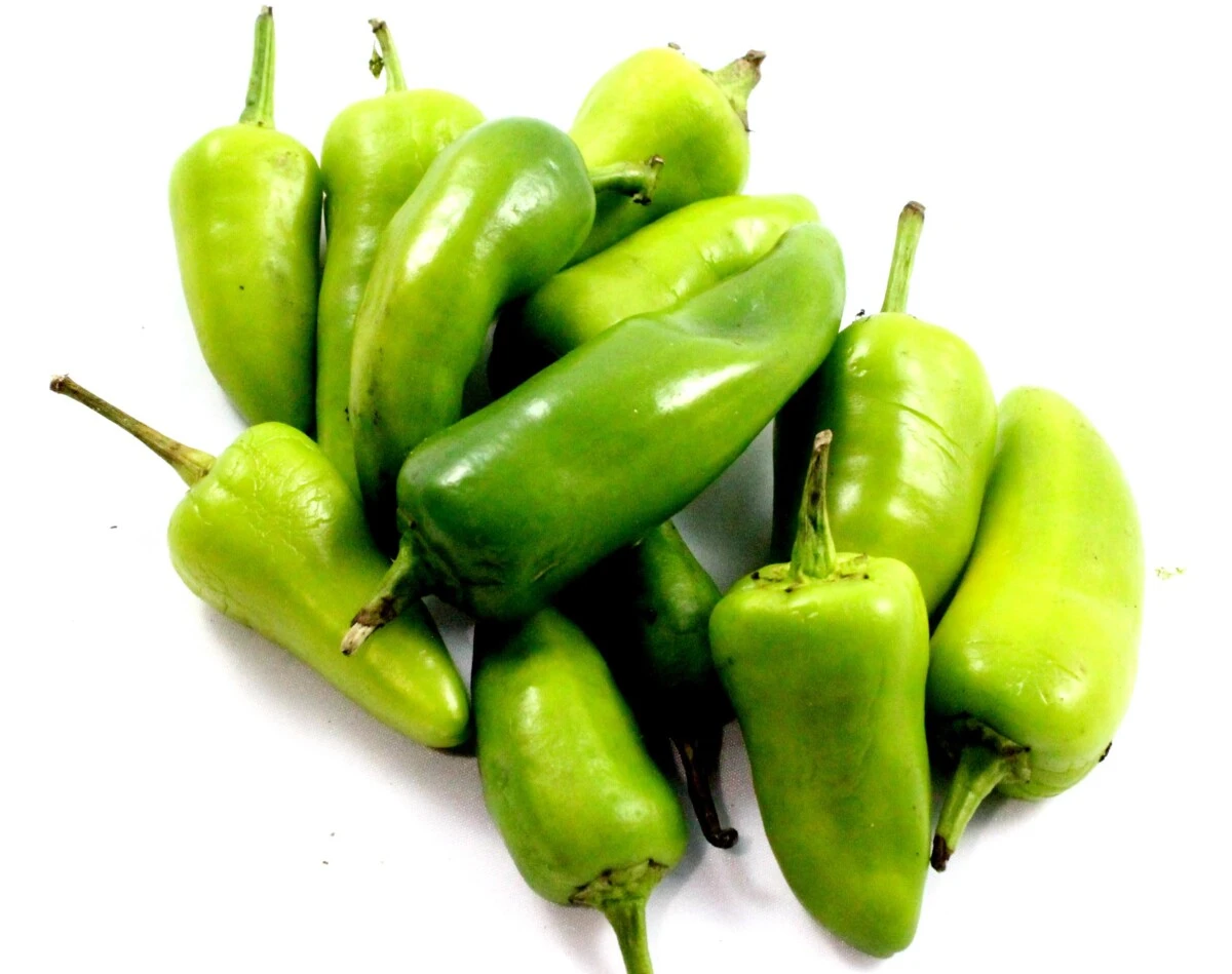 Green Thick Chilli (Moti Hari Mirch) 250g price in Pakistan