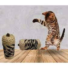 Cat Playing Stick price in Pakistan