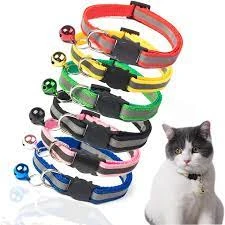 Nylon Cat Bell Collar price in Pakistan
