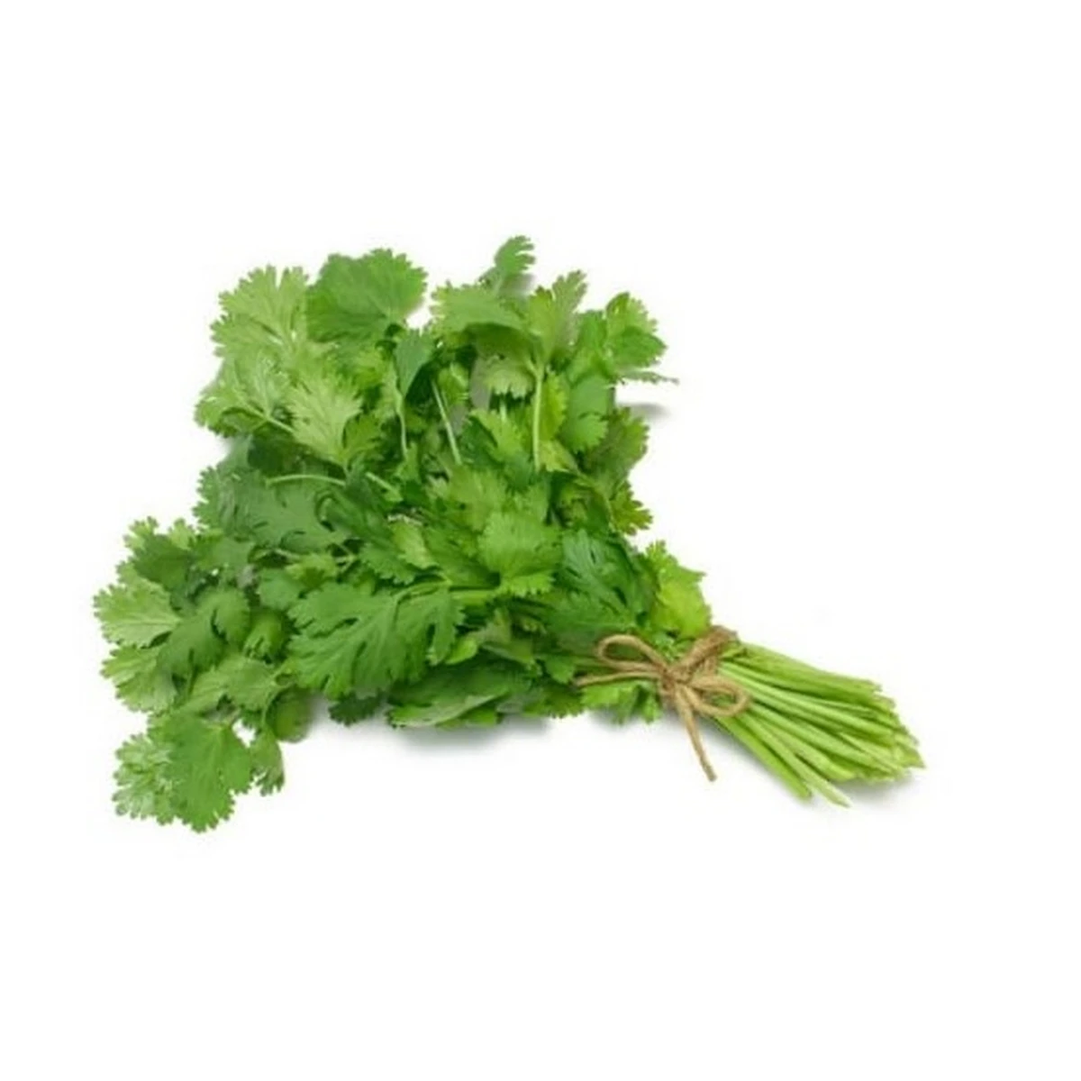 Dhania (Cilantro) (1 bundle) price in Pakistan