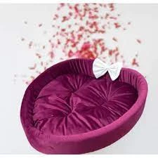 CAT EARS PET BED WITH TAIL PURPLE price in Pakistan