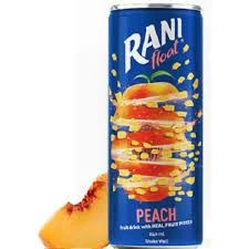 Imported Rani Juice with Real Peach Chunks-Fresh stock (24PC) price in Pakistan
