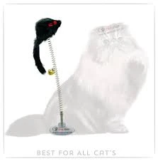 Cat Funny Toy Playing jingle Spring Mouse Toy price in Pakistan