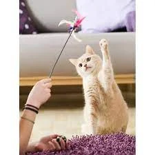 Cats Playing Feather Stick With Bell – Black price in Pakistan