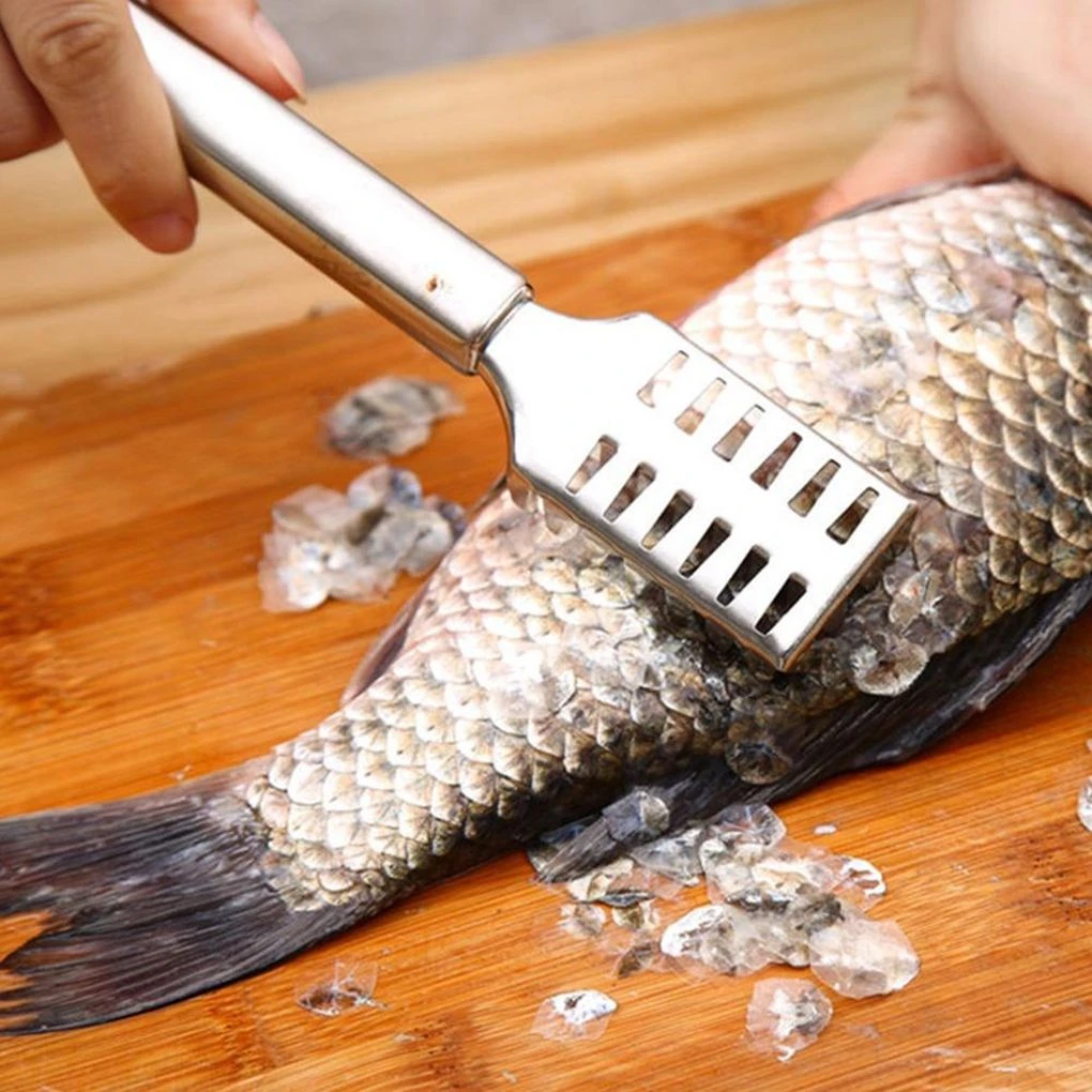Outdoorline Fish Scale Remover Stainless Steel Scaler Scraper Fish Scales Cleaner Removal Tool Kitchen Plane price in Pakistan