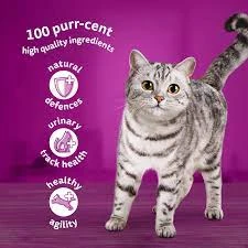 Whiskas Jelly Cat Food 85g (Wet Food) price in Pakistan