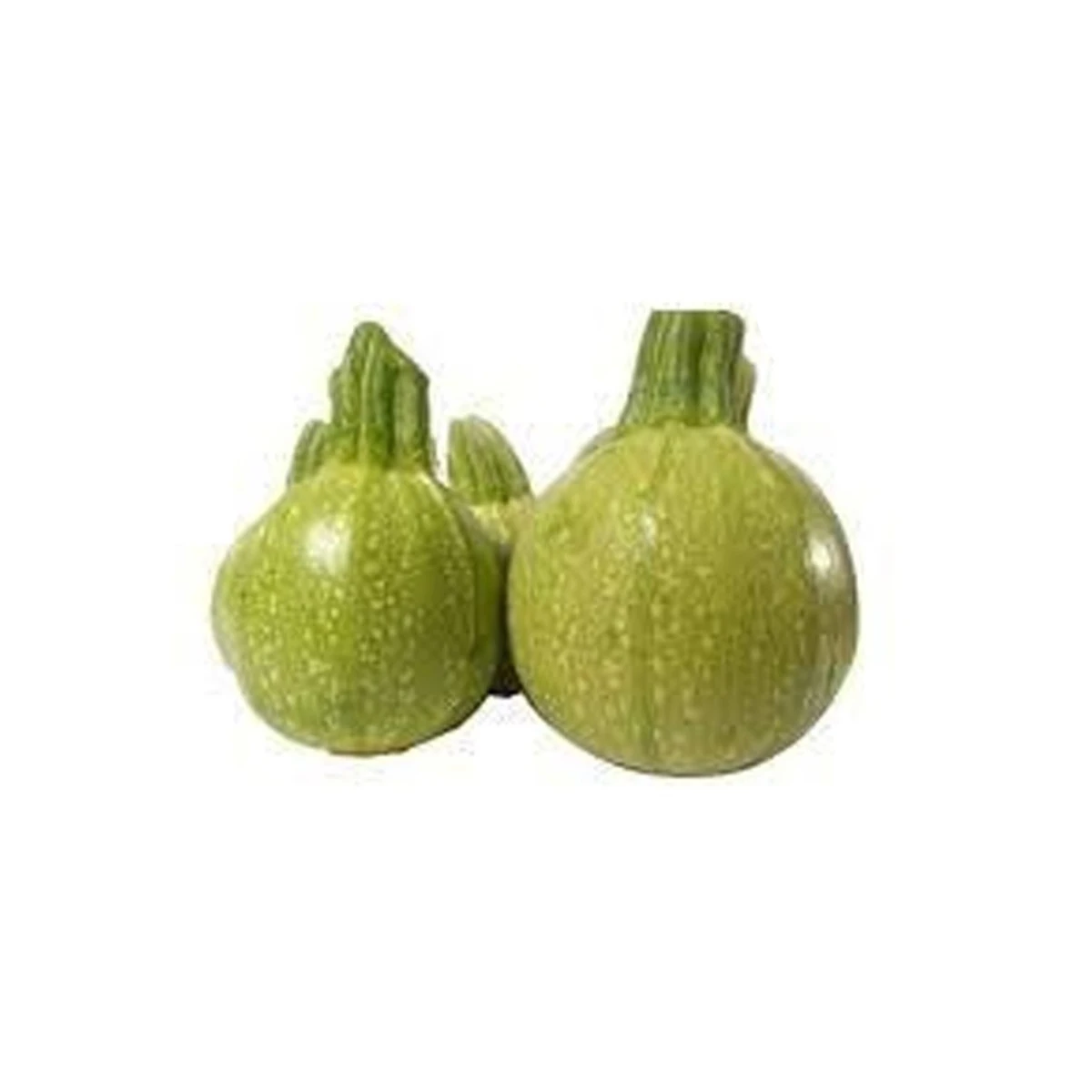 Tinda Desi (Tinda Desi) 1Kg price in Pakistan