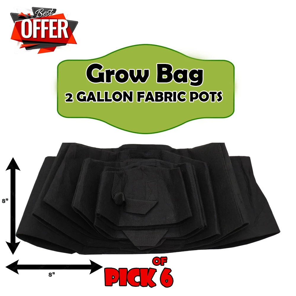 Grow Bag Pack Of 6 Fabric grow bag 2 Gallon I Good aeration For vegetables For kitchen gardening lovers (4tZ98) price in Pakistan