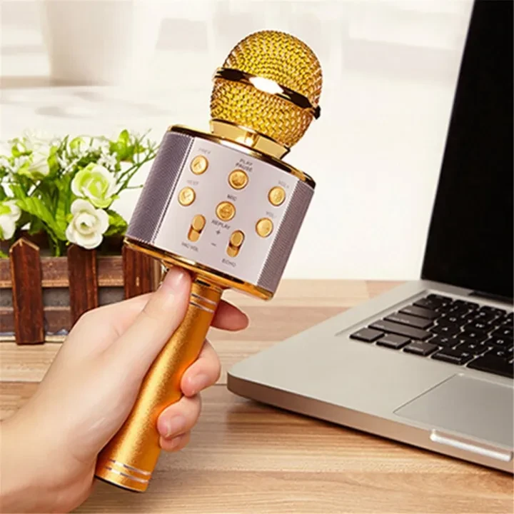 WS-858 Wireless Bluetooth Handheld Karaoke Portable Microphone price in Pakistan