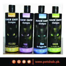REMU – BLACK CATTY SHAMPOO 320ML – Blue price in Pakistan