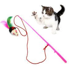 Cat Imported Mouse Stick with Bell price in Pakistan