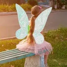 Fairy Elf Princess Angel Wings for Women Girls Halloween Party Cosplay Costumes price in Pakistan