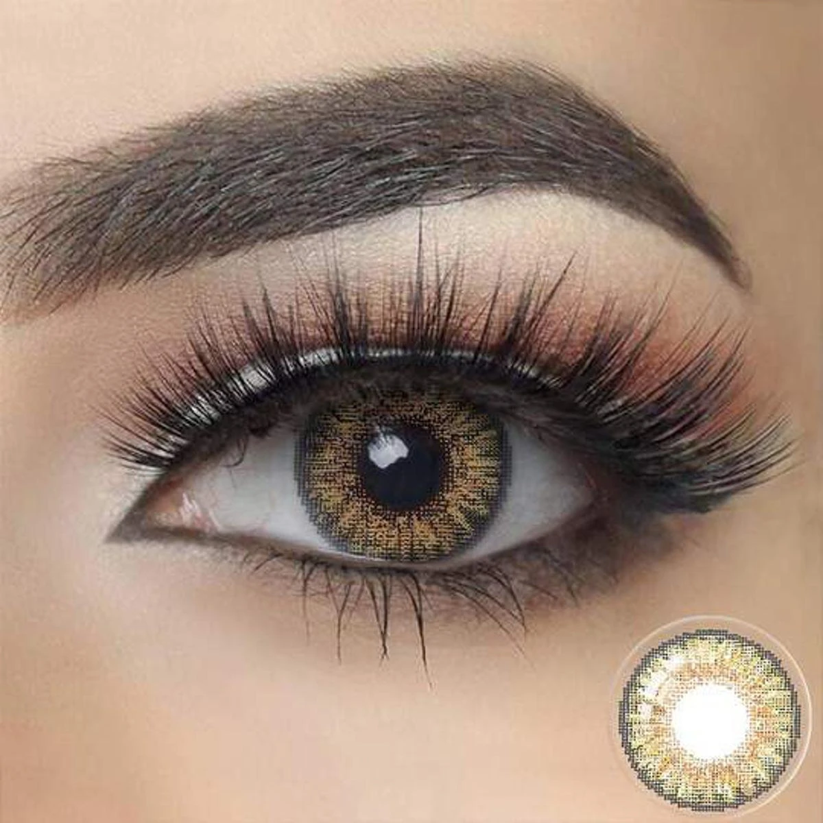 Contact lenses Hazel Eye Contact lens with Kit price in Pakistan