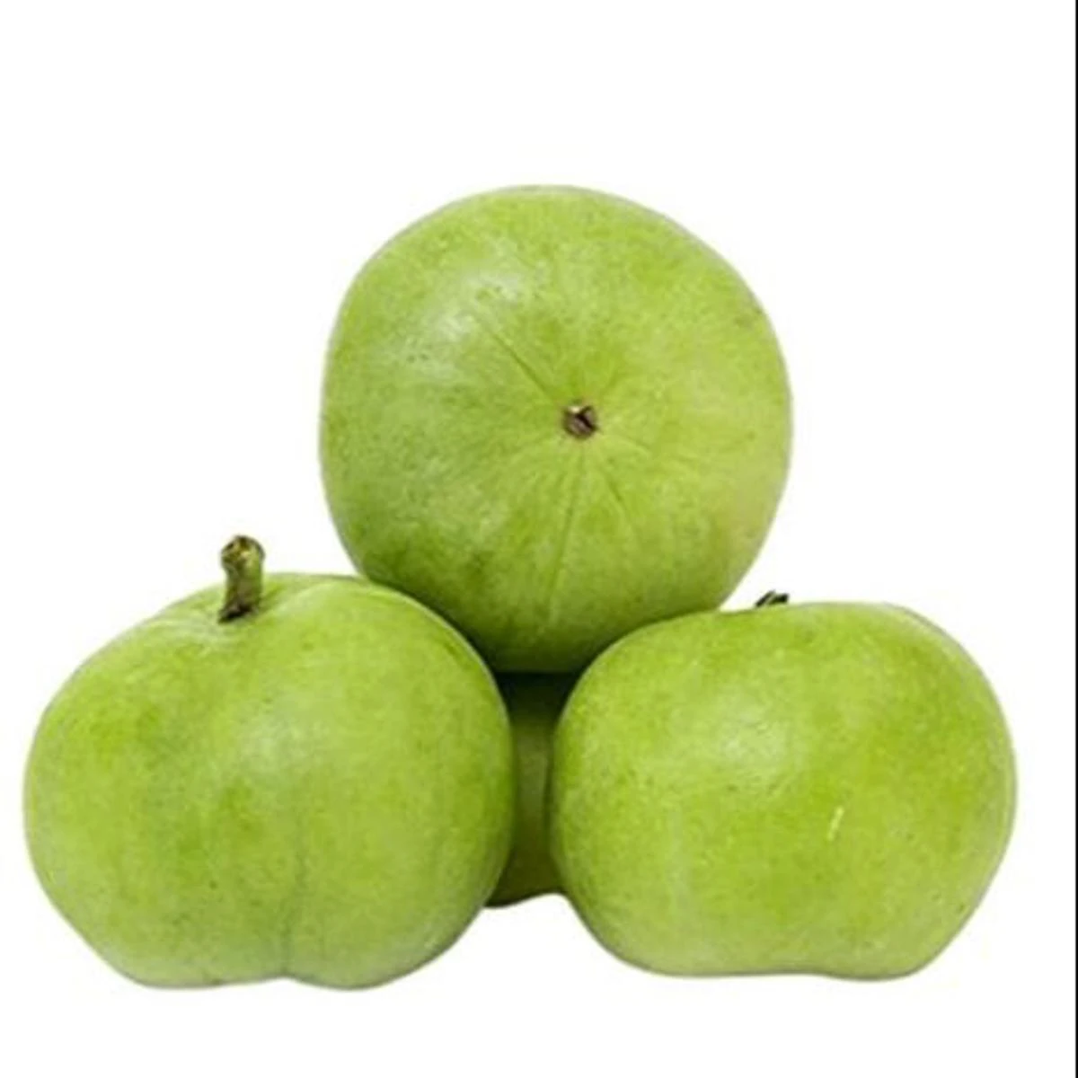 Round Gourd (Tinda) 0.5kg price in Pakistan