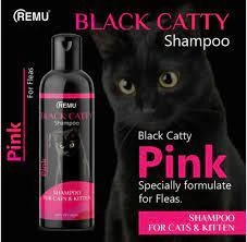 Remu – Black Catty Shampoo 120ml – Pink price in Pakistan