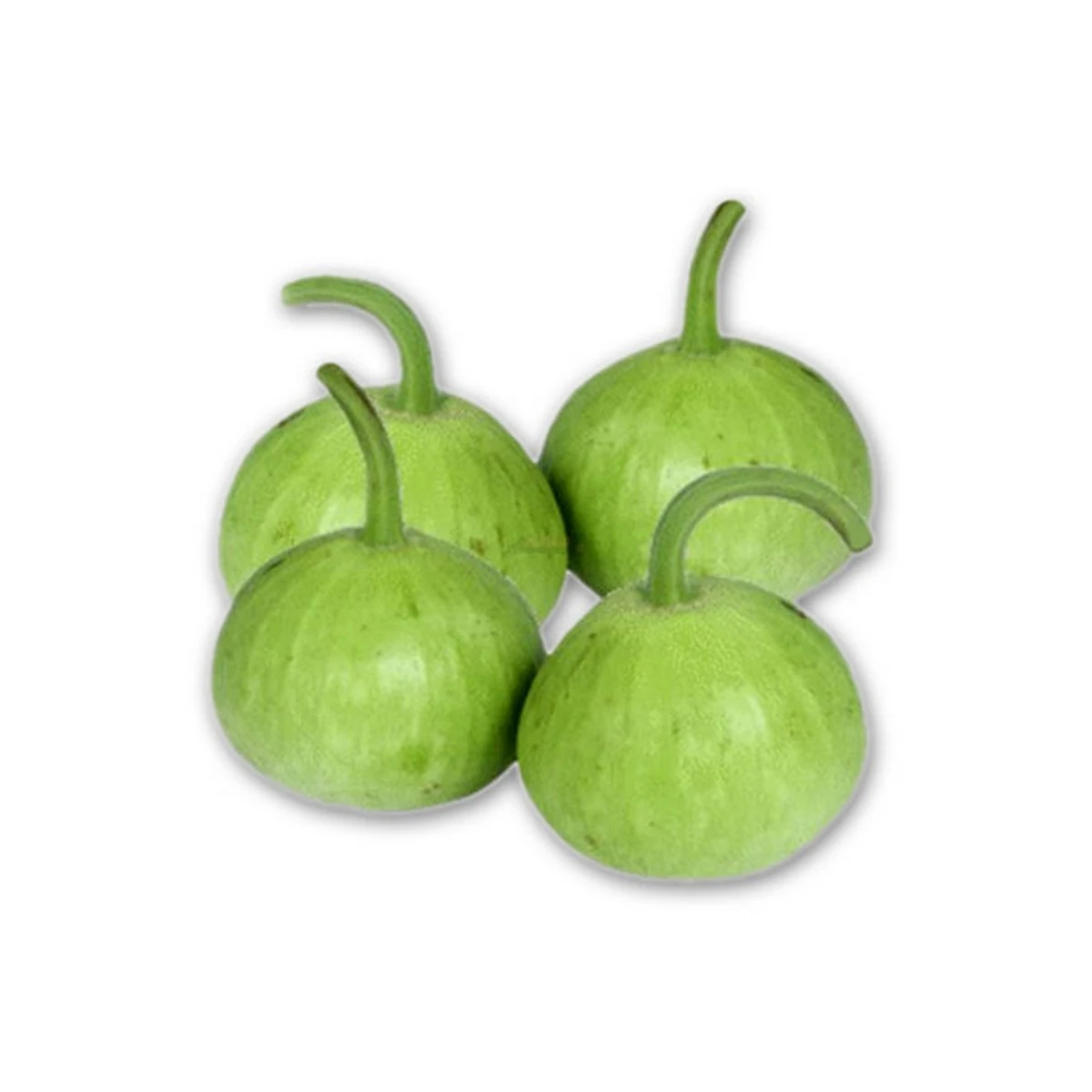 Apple Gourd (Gol Lauki) 1Kg price in Pakistan