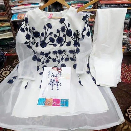 Fabric Organza 2 Pcs Frocks price in Pakistan