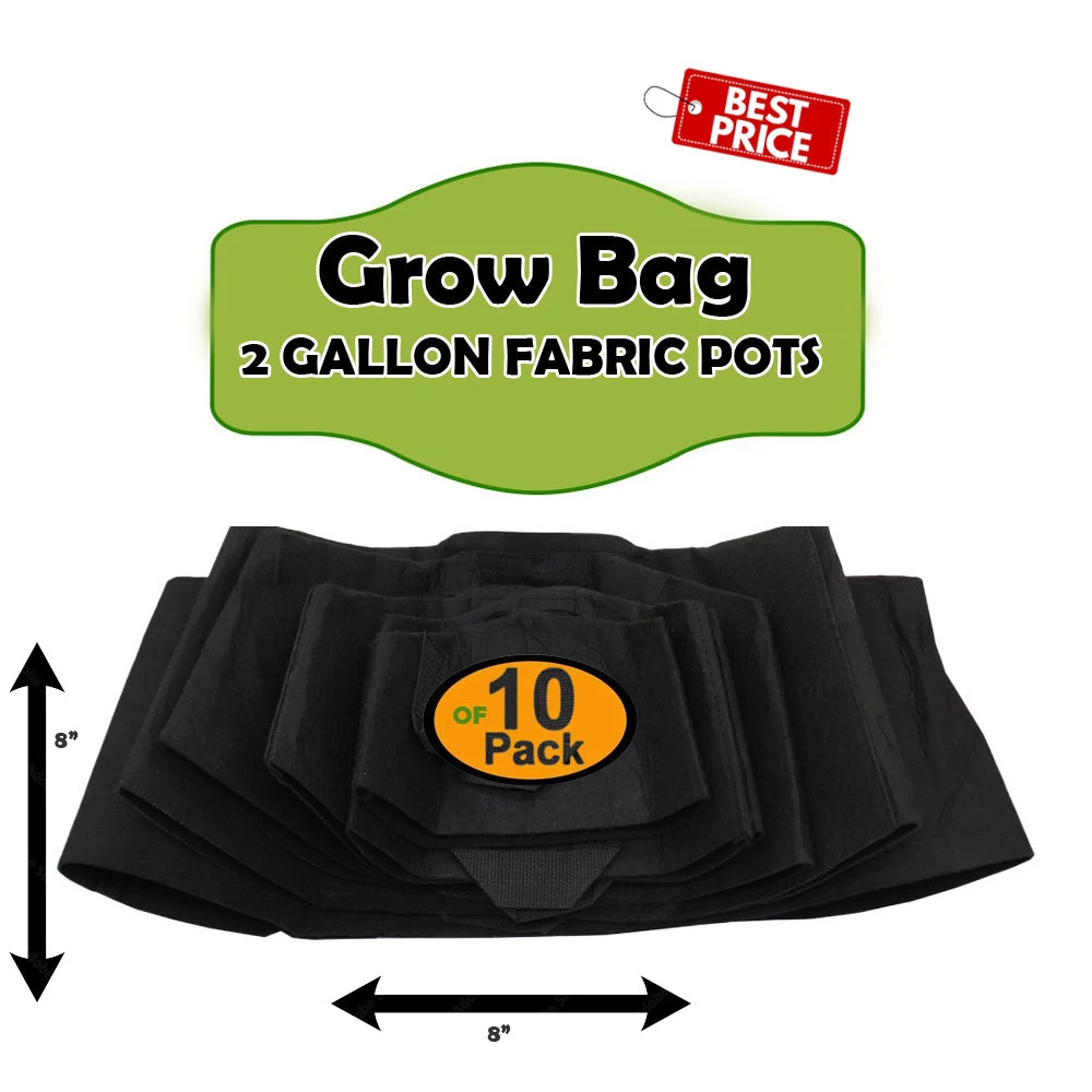 Pack Of 10 Grow Bag I 2 Gallon Grow Bag I 8 X 8 I High Quality Fabrics Grow Bag (tF) price in Pakistan
