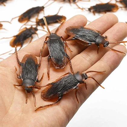 Pack of 12 Pcs Plastic Bugs – Decoration Rubber Toy price in Pakistan