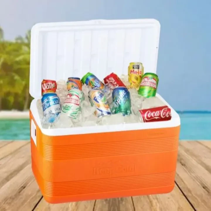 5L Original Cool Ice Box Small Cooler Portable ideal use price in Pakistan