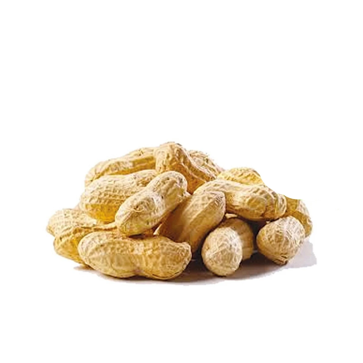 Peanut Whole (Sabut Moong Phali) 250g price in Pakistan